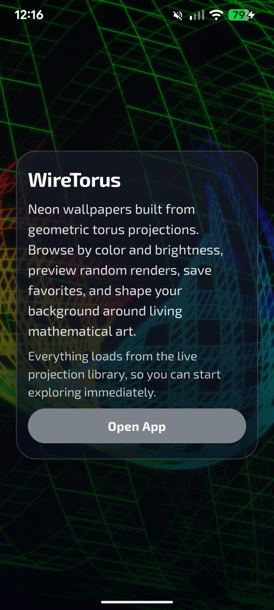 WireTorus screenshot 1